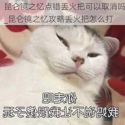 昆仑镜之忆点错丢火把可以取消吗_昆仑镜之忆攻略丢火把怎么打