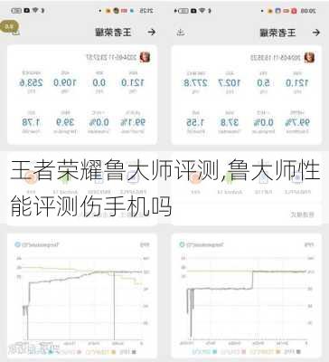 王者荣耀鲁大师评测,鲁大师性能评测伤手机吗