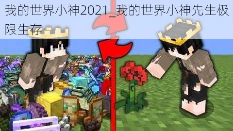 我的世界小神2021_我的世界小神先生极限生存