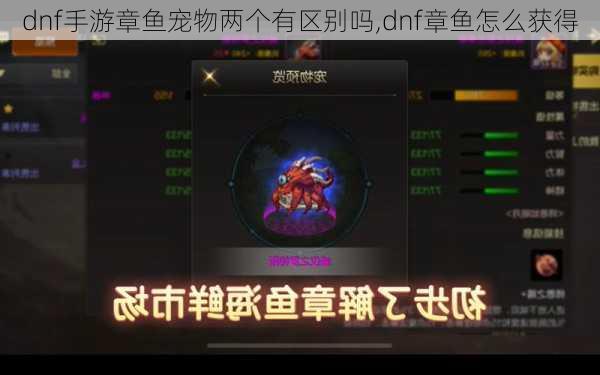 dnf手游章鱼宠物两个有区别吗,dnf章鱼怎么获得