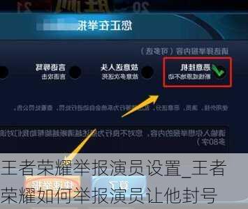 王者荣耀举报演员设置_王者荣耀如何举报演员让他封号