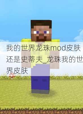 我的世界龙珠mod皮肤还是史蒂夫_龙珠我的世界皮肤