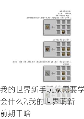 我的世界新手玩家需要学会什么?,我的世界萌新前期干啥