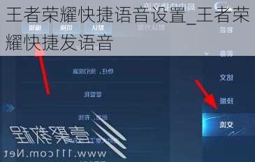 王者荣耀快捷语音设置_王者荣耀快捷发语音