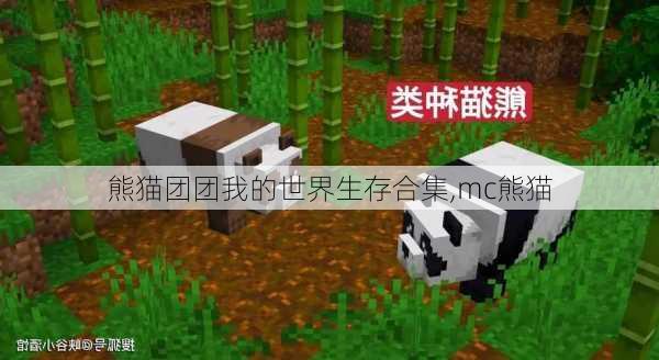 熊猫团团我的世界生存合集,mc熊猫