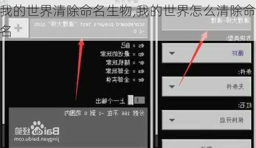 我的世界清除命名生物,我的世界怎么清除命名