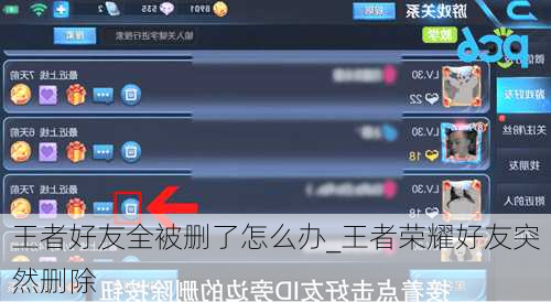 王者好友全被删了怎么办_王者荣耀好友突然删除