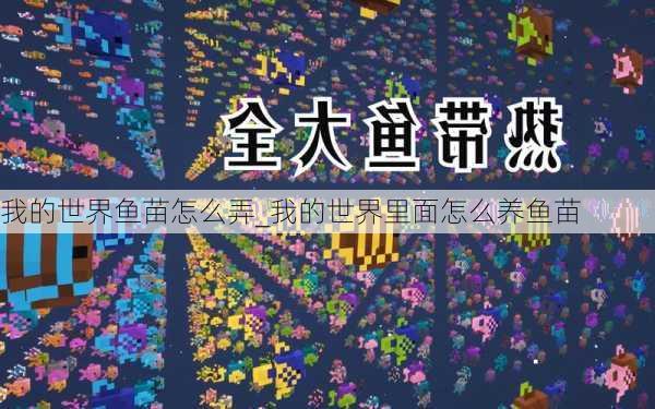 我的世界鱼苗怎么弄_我的世界里面怎么养鱼苗