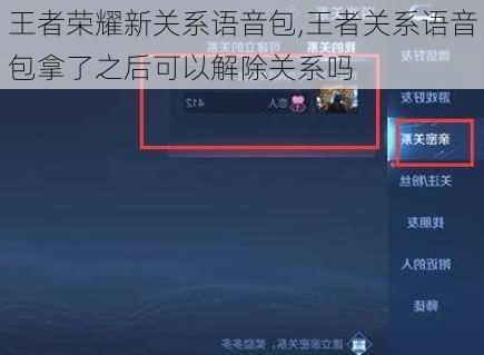 王者荣耀新关系语音包,王者关系语音包拿了之后可以解除关系吗
