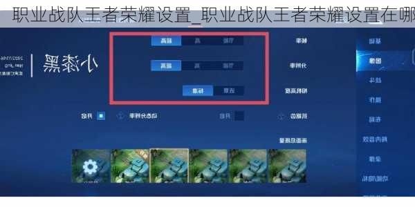 职业战队王者荣耀设置_职业战队王者荣耀设置在哪