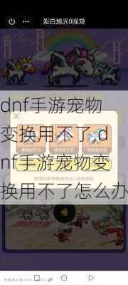 dnf手游宠物变换用不了,dnf手游宠物变换用不了怎么办