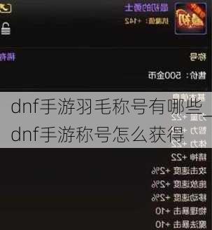 dnf手游羽毛称号有哪些_dnf手游称号怎么获得