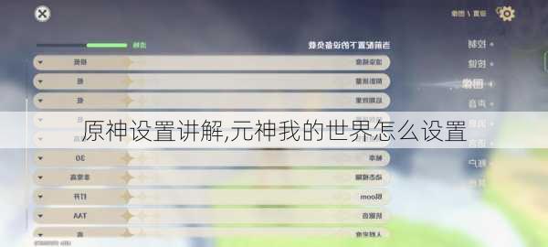 原神设置讲解,元神我的世界怎么设置