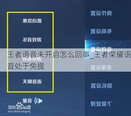 王者语音未开启怎么回事_王者荣耀语音处于免提