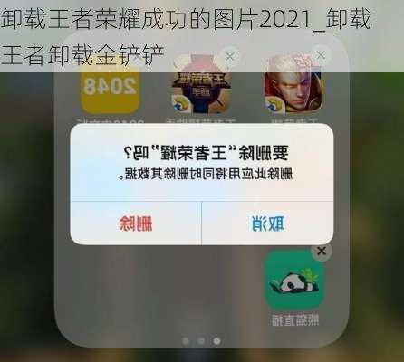 卸载王者荣耀成功的图片2021_卸载王者卸载金铲铲