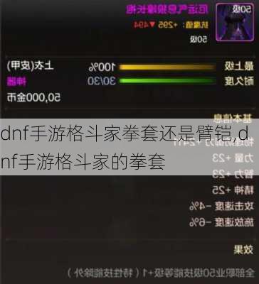 dnf手游格斗家拳套还是臂铠,dnf手游格斗家的拳套