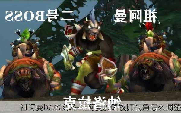 祖阿曼boss攻略-祖阿曼攻略牧师视角怎么调整