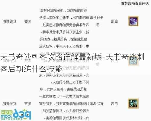 天书奇谈刺客攻略详解最新版-天书奇谈刺客后期练什么技能