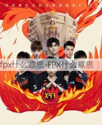 fpx什么意思-FPX什么意思