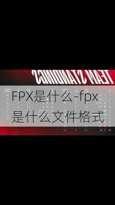 FPX是什么-fpx是什么文件格式