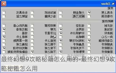 最终幻想9攻略秘籍怎么用的-最终幻想9攻略秘籍怎么用