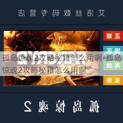 孤岛惊魂2攻略秘籍怎么用啊-孤岛惊魂2攻略秘籍怎么用啊