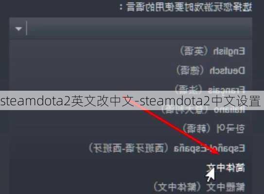 steamdota2英文改中文-steamdota2中文设置